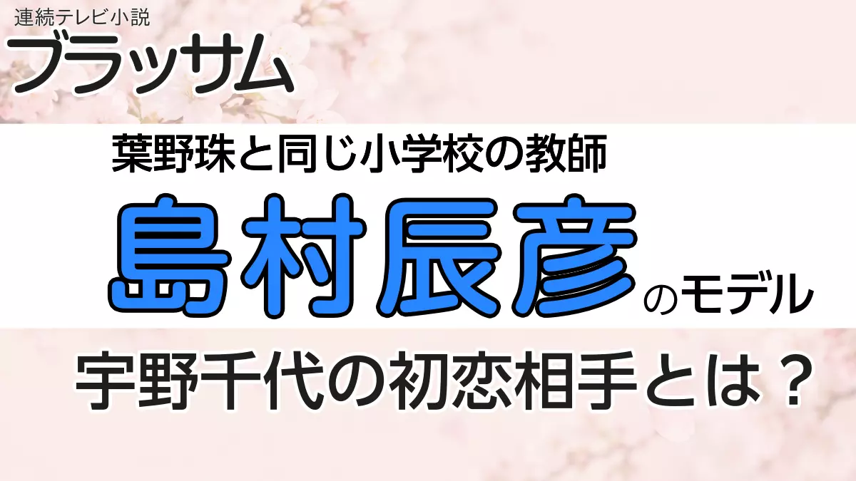 島村辰彦のモデル
