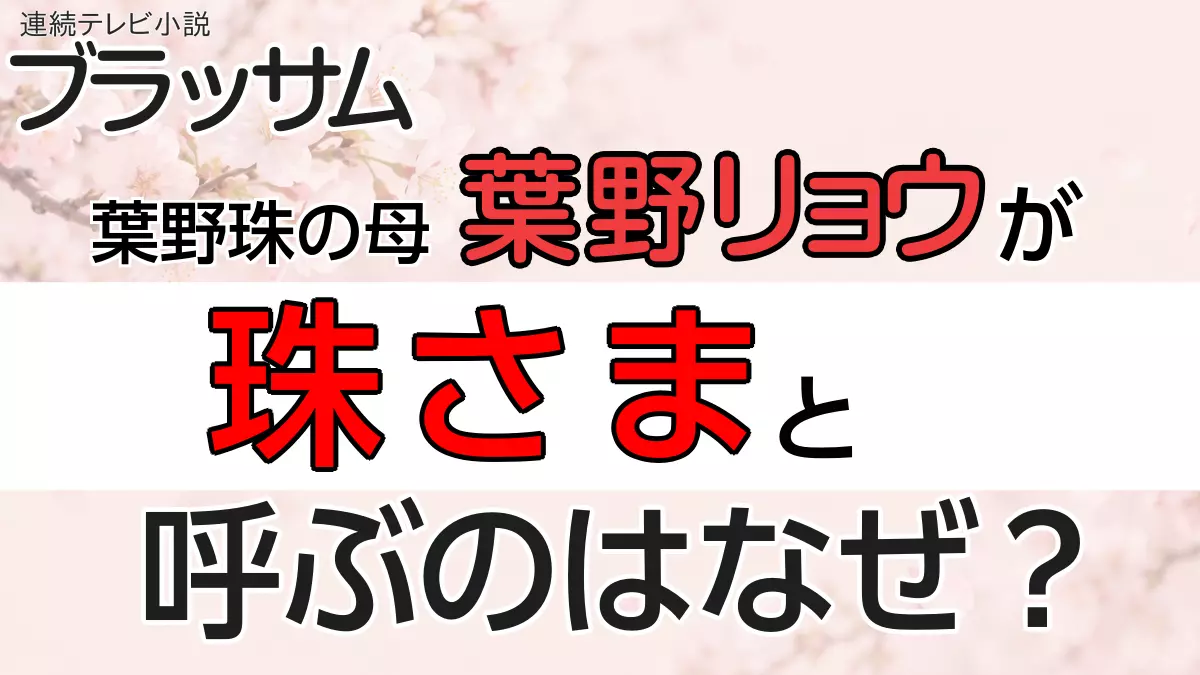 珠さま なぜ